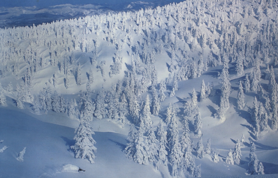 八甲田での滑り