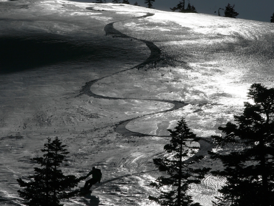 春の滑走ライン