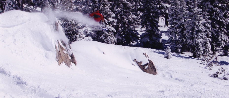 アメリカでのポールさん