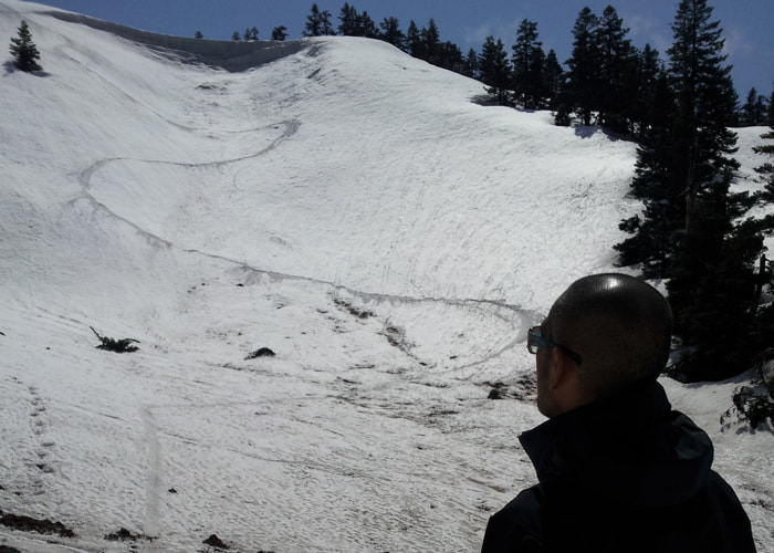 自分のラインを眺める