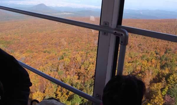 秋のオレンジに染まる八甲田