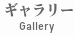 ギャラリー